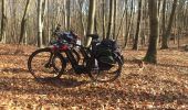 Excursión Bicicleta híbrida Orrouy - Balade vélo entre pierrefond et compiegne  - Photo 3