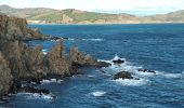 Tour Wandern Banyuls-sur-Mer - Banyuls Cerbère  - Photo 9