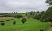 Tour Wandern Dalhem - A la découverte de Neufchâteau 🥾 - Photo 4