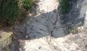 Trail Walking Beaumes-de-Venise - Beaumes de venise  rocalinaud,les courens - Photo 1