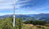 Trail Trail Gemeinde Kirchberg in Tirol - Gaisbergjoch - Photo 16