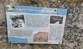 Trail Walking Clarafond-Arcine - Entre Nant et Rhône  - Photo 3