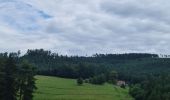 Excursión Bicicleta híbrida La Neuveville-devant-Lépanges - Sortie vélo 21 juillet  - Photo 3