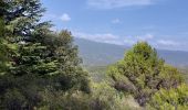 Tour Wandern Crillon-le-Brave - Torrent Pied Blanc / Rocher de la Madeleine - Photo 4