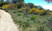 Randonnée Marche La Londe-les-Maures - valcros babaou - Photo 2