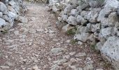 Trail Walking Pégairolles-de-Buèges - seranne, pontel, pegairolles de bueges, et source de la bueges - Photo 5