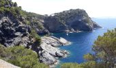 Trail Walking Hyères - Tour ouest de la presqu'île de Giens - Photo 2