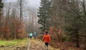 Tocht Stappen La Roche-en-Ardenne - Vecmont - Photo 14