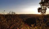 Tocht Stappen Esneux - tilff . bois des manants . ourthe  - Photo 4