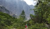 Trail On foot Kranjska Gora - Wikiloc Triglav Vrata Valley - Photo 9