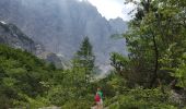 Excursión A pie Kranjska Gora - Wikiloc Triglav Vrata Valley - Photo 9