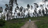 Trail Walking Sainte-Ode - Lavacherie - Photo 12