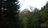 Trail Walking Sarcenas - Col de Porte_La Pinea_Oratoire d'Orgeval - Photo 5