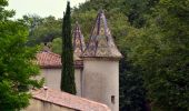 Randonnée Marche Méounes-lès-Montrieux - Boucle autour de Montrieux et bord du Gapeau - Photo 13