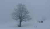 Randonnée Raquettes à neige Lans-en-Vercors - la moliere - Photo 2