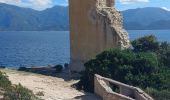 Tour Wandern Saint-Florent - st Florent phare de Motella et plage Lotu - Photo 5