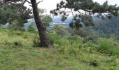 Trail Walking Aydat - Puy de Vichatel depuis la Garandie - Photo 10