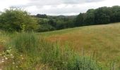 Tour Wandern Comblain-au-Pont - poulseur mix balade croix bleue et croix jaune - Photo 6