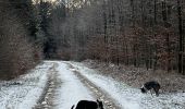 Randonnée Marche Neufchâteau - Hosseuse 4,2 km  - Photo 13