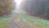 Tour Elektrofahrrad Saint-Clément - sortie vtt  - Photo 9