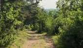 Trail Walking Millau - Le cun nant - Photo 6