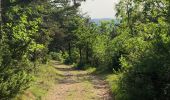 Tour Wandern Millau - Le cun nant - Photo 6