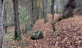 Tocht Stappen Durbuy - Bois et champs.  - Photo 13