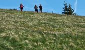 Tour Wandern Sondernach - Rando les Copains d'abord.. 19/05/2022 - Photo 4