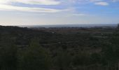 Tocht Mountainbike Frontignan - pioch de la barre - Photo 7