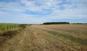 Trail Walking Neuil - Neuil - Circuit 2 - 12.6km 120m 2h20 - 2019 08 16 - Photo 2