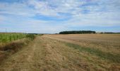 Excursión Senderismo Neuil - Neuil - Circuit 2 - 12.6km 120m 2h20 - 2019 08 16 - Photo 2