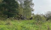 Tour  Petingen - Fond de Gras depuis Lamadeleine  - Photo 3