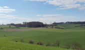 Tocht Stappen Blieberg - A la découverte de Hombourg et ses environs  - Photo 6