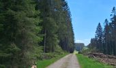 Tocht Stappen Waimes - Fagnes Mont Rigi - Photo 3