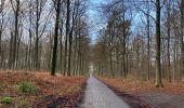 Tocht Stappen Belœil - Stambruges, Beloeil, les Ecacheries, mer de sable, Stambruges - Photo 14