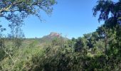 Percorso Marcia Roquebrune-sur-Argens - Circuit de l'eau - Photo 4