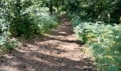 Trail Walking Peyrat-le-Château - barrage de Vassivière - Photo 4