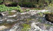 Tour Wandern Le Faouët - Le Faouët - Les cahots de l'Elle  - Photo 6