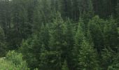 Trail Walking Val-d'Isère - Petit tour dans la forêt du fornet - Photo 1