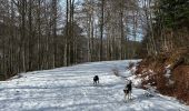 Trail Walking Stosswihr - La Schlucht Le Hohneck Le lac de La Lande Le Collet - Photo 6