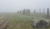 Trail Walking Ancizan - cabane du Pla des Gats - Photo 2