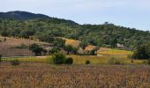 Tour Wandern Sainte-Maxime - Chapelle St Donat - Marri Vallat - Le Revest - Col de Grateloup - Photo 1