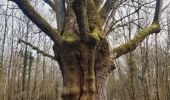 Trail Walking Hamoir - trek GR57 jour 4 : Hamoir - Bomal-sur-Ourthe - Photo 5