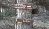 Trail Walking Saint-Vincent-sur-Jabron - SAINT VINCENT SUR JABRON. Pas de Parandier  ,montagne S Michel o n - Photo 4
