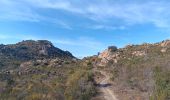 Tour Wandern Ille-sur-Têt - puig pedros  - Photo 12