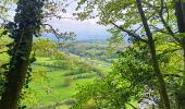 Tour Wandern Esneux - athénée . ham . ferme l'oneux . roche aux faucons . rosière . esneux  - Photo 9