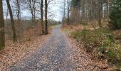 Trail Walking Bouillon - Cornimont 100324 - Photo 11