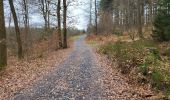 Tour Wandern Bouillon - Cornimont 100324 - Photo 11