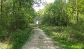 Trail Walking Rambouillet - 2022-05-01_ EtangCoupeGorge_EtangsDeHollande - Photo 5
