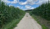 Trail Walking Wezembeek-Oppem - S-GR Groene Gordel: Tervuren - Kortenberg - Photo 12